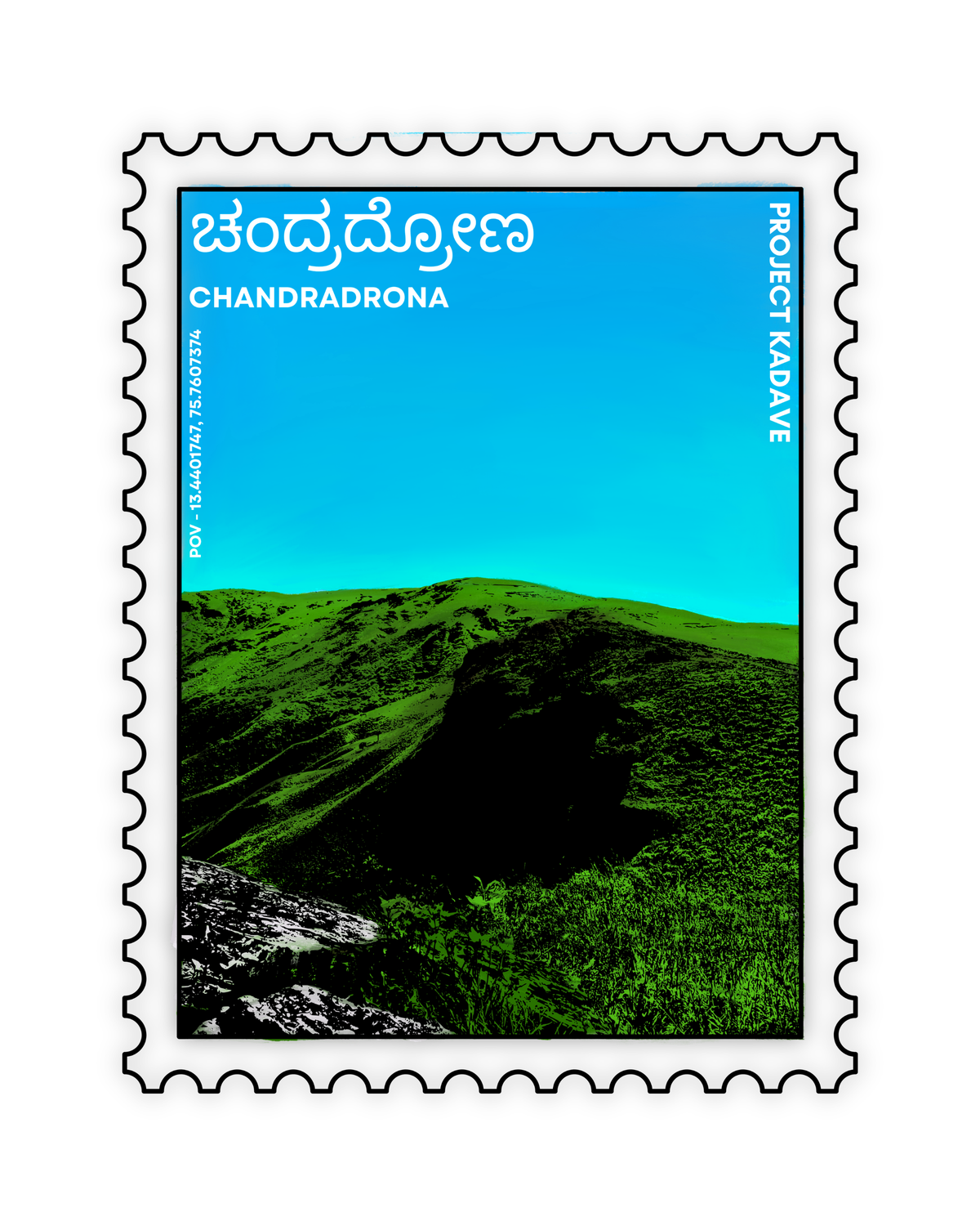 Chandradrona ringer tee